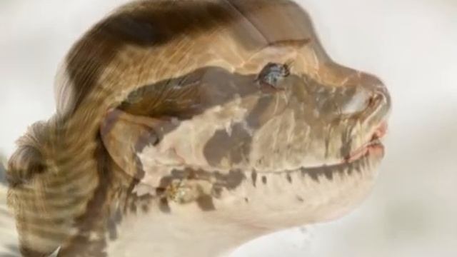 Woman to Burmese python TF morph. смотреть онлайн