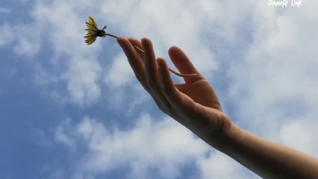 love status/gadwali/🥰jaunsari status/attar shah/new garhwali status/pahadi status смотреть онлайн