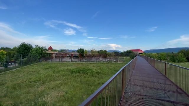 В Тайгане ЛИВЕНЬ, где прячутся львы? смотреть онлайн
