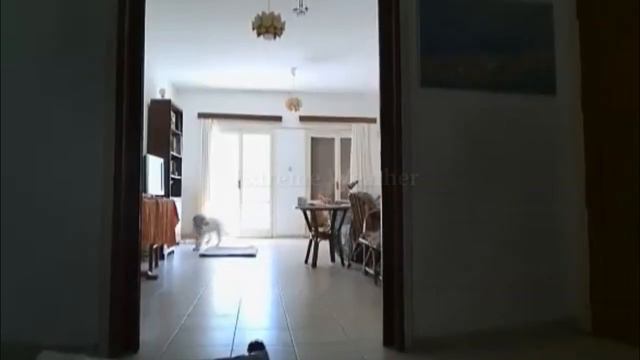 Just now! A strong earthquake shakes Hawaii! смотреть онлайн