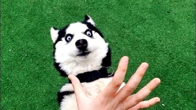 ТЕСТ!!! ВОЛЯ СЛУЧАЯ ИЛИ ГАДАНИЕ НА УСПЕХ смотреть онлайн