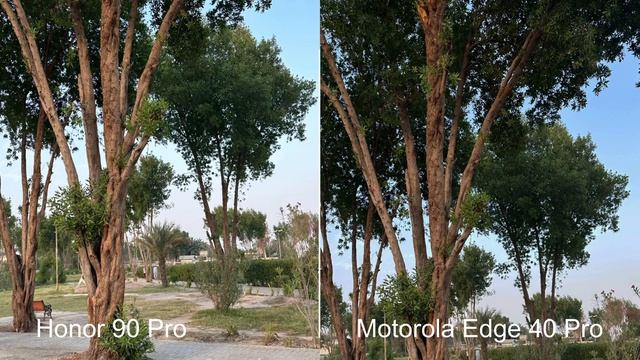 Motorola Edge 40 Pro VS Honor 90 Pro camera test #motorola #motorolaedge40pro #honor90pro #honor смотреть онлайн