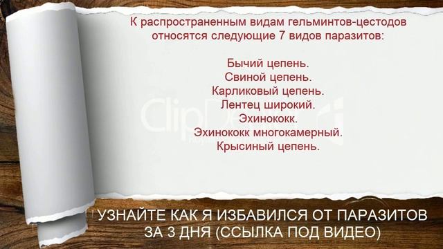 Разновидность глистов у человека смотреть онлайн