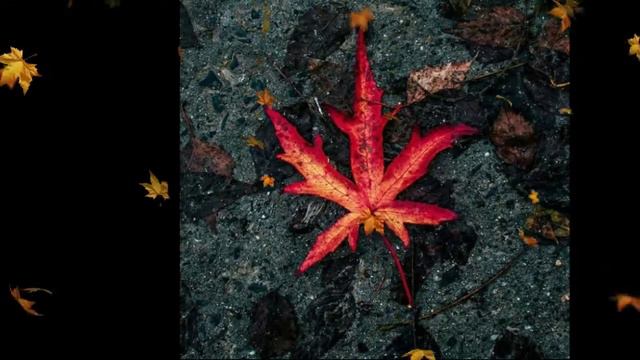 MriD - Скажи зачем