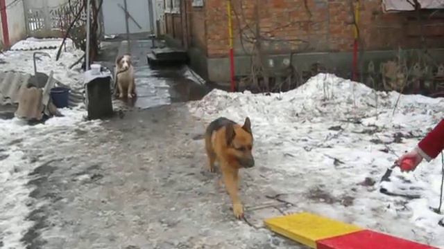 Дег качель смотреть онлайн