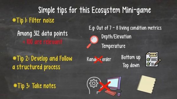 McKinsey Problem Solving Game (Solve) Explained - with Footage