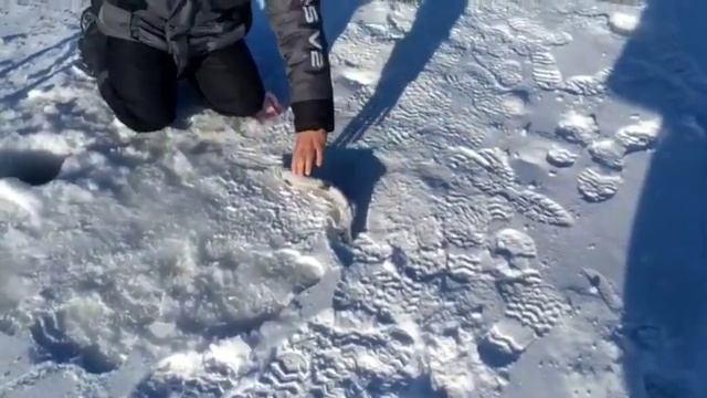 13 марта 2023 г. смотреть онлайн