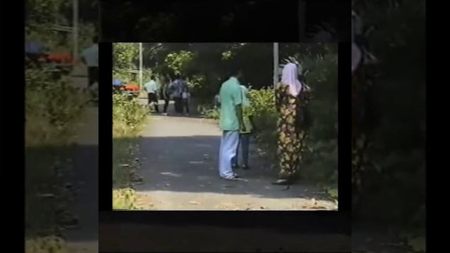 Kamera VHS Panasonic M3500 (1999) смотреть онлайн