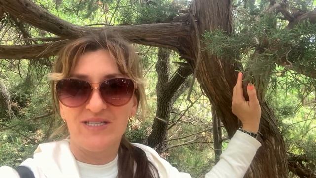 Замок ЛАСТОЧКИНО ГНЕЗДО || Очень полезная информация! Сколько стоит посетить видовую? Лето 2023. смотреть онлайн