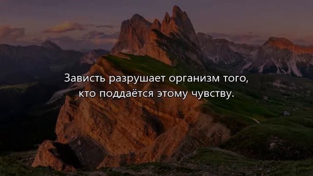 Цитаты о здоровье от великого мистика, алхимика и врача Парацельса смотреть онлайн