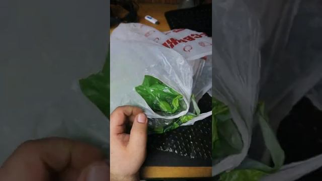Купил кучу топового железа. Кому прокачать комп? смотреть онлайн