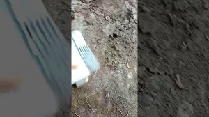 Как починить коммутатор на Восходе на Минске