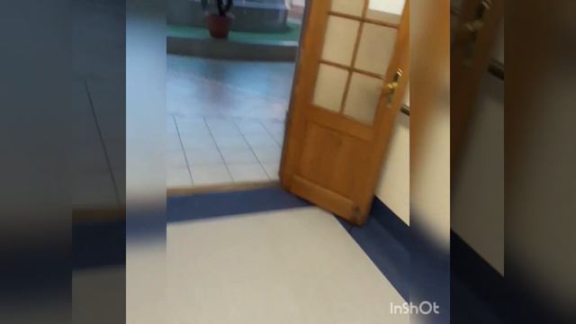 Что у меня с носом стало? смотреть онлайн