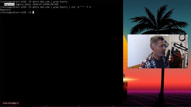 Shell script to check domain expiry смотреть онлайн