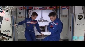 Чем занимаются космонавты на МКС?