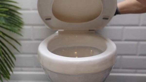 Сборка и установка сиденья для унитаза Justy, Alcora