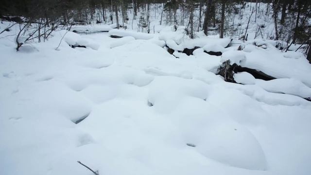 Саяно-Шушенский заповедник | 19.03.2016 смотреть онлайн