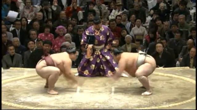 Kisenosato vs Toyohibiki смотреть онлайн