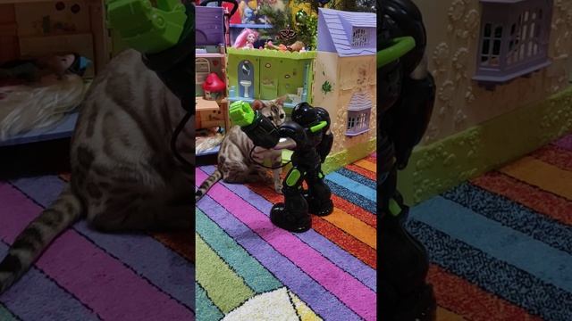 Роботрон кари Kari/подарки Новый год/робот/подарок мальчику/супер игрушка для мальчика смотреть онлайн