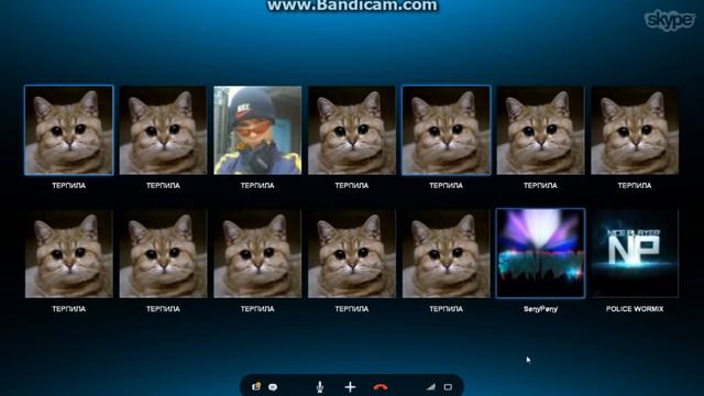 Skype Терпилы.