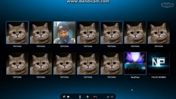 Skype Терпилы.