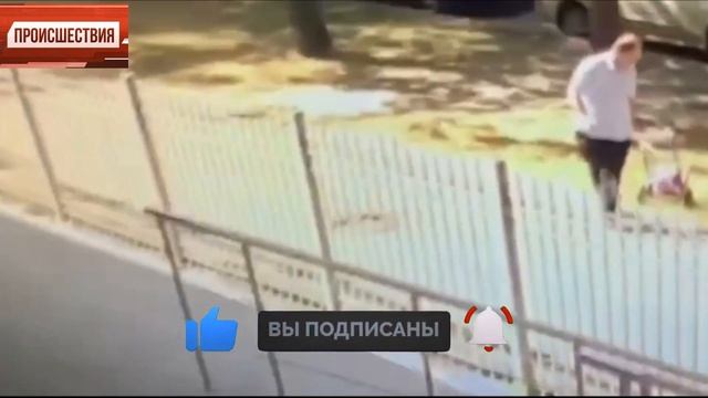 Псевдоспециалист по закупкам, похитил у фирмы 33 ноутбука стоимостью 7,5 млн рублей смотреть онлайн