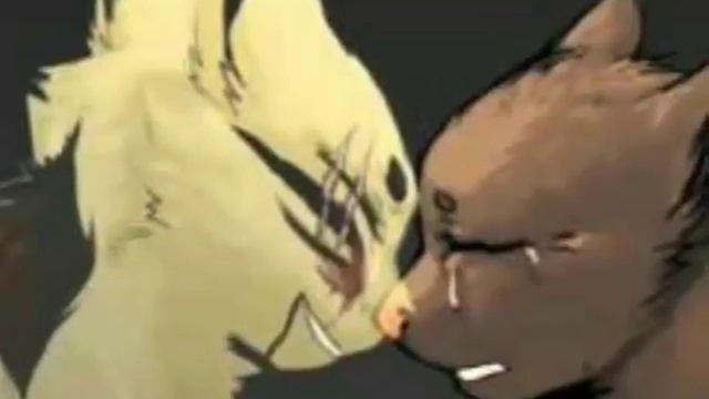 Фотопоказ долгохвост смотреть онлайн