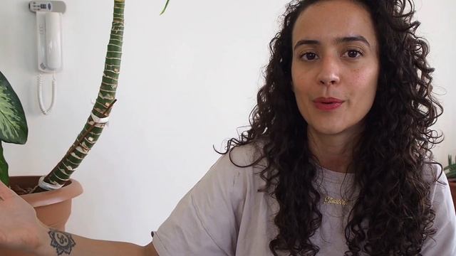LA DÉPENSE ÉMOTIONNELLE : Comment nos émotions nous poussent à dépenser plus смотреть онлайн