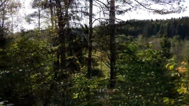 Отпуск в сентябре, дача, д. Митяево. смотреть онлайн