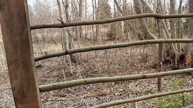 ЧТО СЛУЧИЛОСЬ С ДОМИКОМ В ЛЕСУ ПОСЛЕ ЗИМЫ? как сделать ДОМИК В ЛЕСУ! ШАЛАШ СПУСТЯ 1 ГОД смотреть онлайн