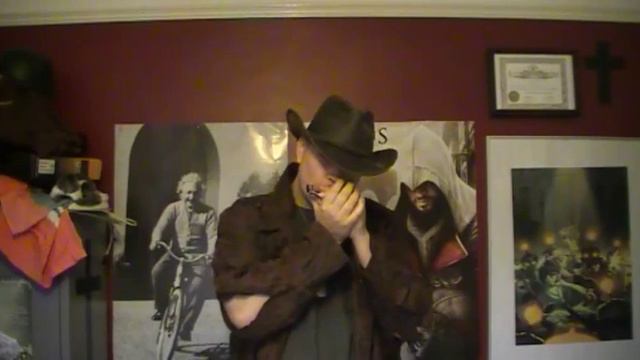 Sunshine - Diatonic C Harmonica смотреть онлайн
