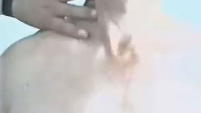 Видео: перкуссия верхивок смотреть онлайн