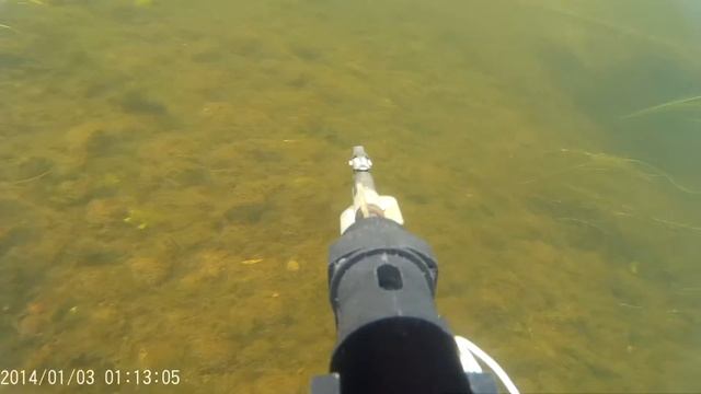 р. Каспля. Первая подводная съёмка смотреть онлайн