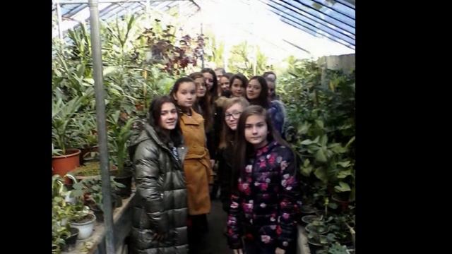 Важно е дрвото и секој негов лист смотреть онлайн