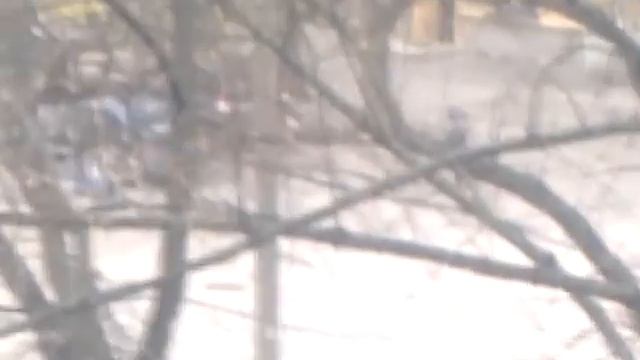 Похищение или задержание? смотреть онлайн