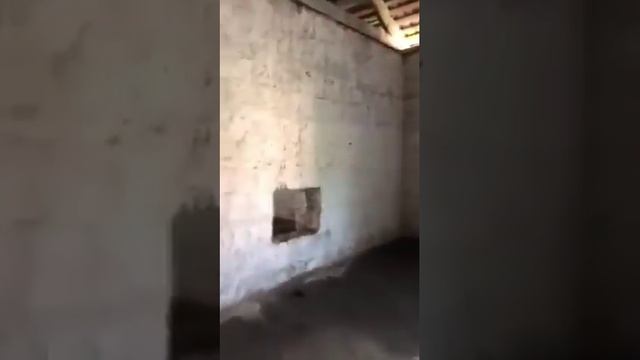 Satılık Depo Ve Tarım Değil Toprak Batumda 802 M2, Продаю коммерческое помещение ! Грузия Батуми !