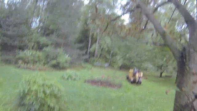 Удаление деревьев 13. Каштан с минирующей молью, валим с помощью пнедробильной машины. смотреть онлайн