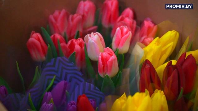 Страсть, любовь, "Фламенко". смотреть онлайн