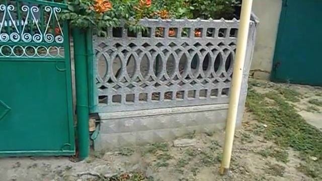 собака прыгает через забор смотреть онлайн