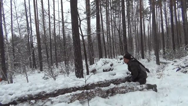 Нахаживание лайки по кунице. смотреть онлайн