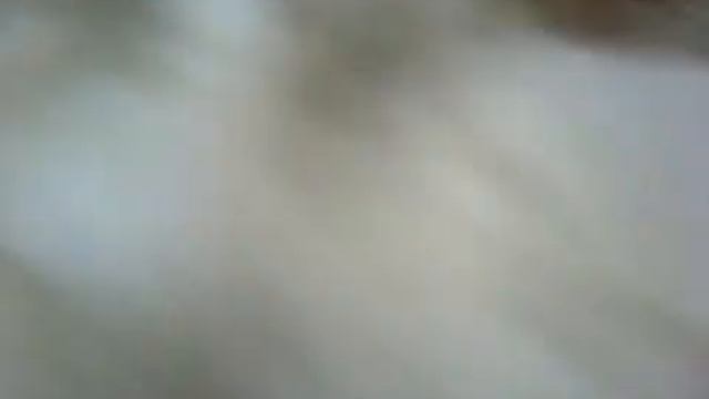 Кроличек живой смотреть онлайн