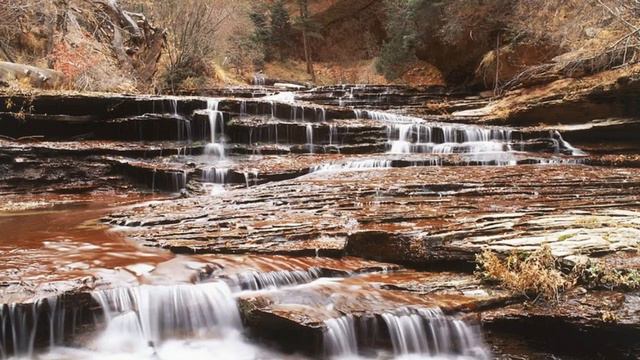 Oistrakh, Oborin - Beethoven - Violin Sonata No 5 in F major Op 24, Spring смотреть онлайн