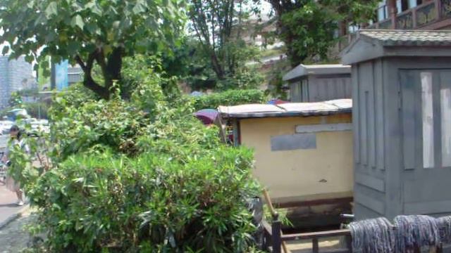 37 CHINA 2019 37 смотреть онлайн