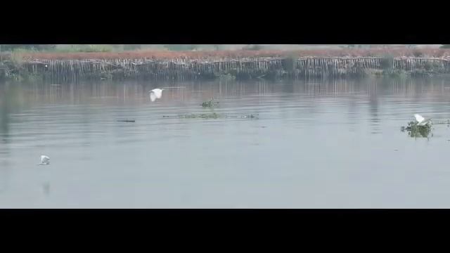 Feeling Groovy смотреть онлайн
