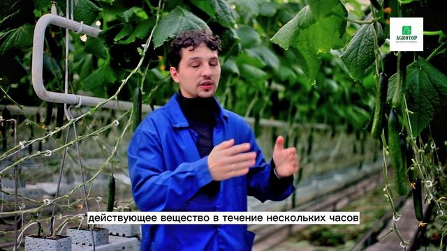 Этамон - Высокоэффективный регулятор роста растений.