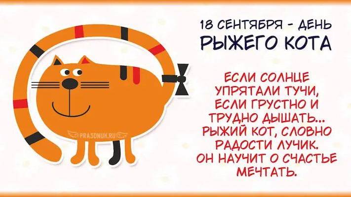 День рыжего кота. Red Cat Day смотреть онлайн