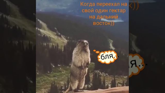 Когда переехал на свой один гектар на дальний восток. смотреть онлайн