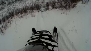 Снегоход Тайга ст500д - подъем в гору.