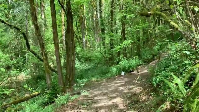 ЖЕНЩИНА ВСЕГДА НА КУХНЕ / ФОТОСЕССИЯ / ПРОВОДИМ ВМЕСТЕ ВОСКРЕСЕНЬЕ/ ВЕСЕННИЕ ДНИ