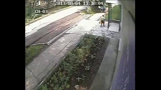 Ворует цветы на клумбе у ЛаВанды ,г.Ревда смотреть онлайн